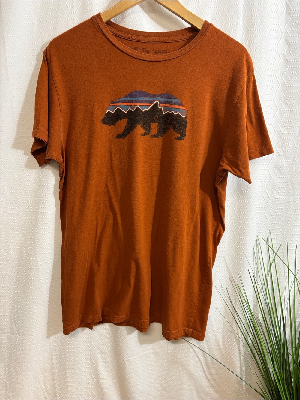 Patagonia Fitz Roy Bear T-Shirt organic cotton